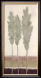 Buy Evergreen I at AllPosters.com