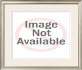 Buy Neil Armstrong, Commander of the Apollo 11 at AllPosters.com