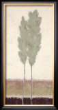 Buy Evergreen II at AllPosters.com