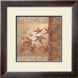 Japanese Maple II