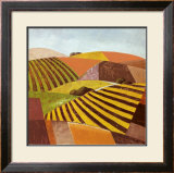 Buy Paisajes Tierras II at AllPosters.com
