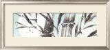 Buy Summer's Essence I at AllPosters.com