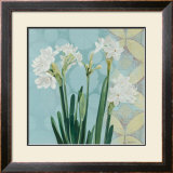 Paperwhites on Blue I