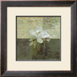 Buy Floral with Cursive IV at AllPosters.com