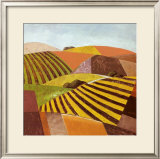 Buy Paisajes Tierras II at AllPosters.com