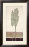 Buy Evergreen II at AllPosters.com