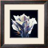 Buy Arid Flower at AllPosters.com