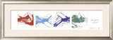Buy Signature Series at AllPosters.com