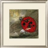 Coccinelle