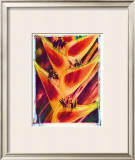 Buy Heliconia at AllPosters.com