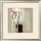 Buy Amaryllis Japonisant at AllPosters.com
