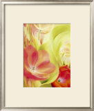 Buy An Einem Fruhlingsmorgen II at AllPosters.com