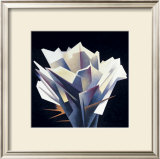 Buy Arid Flower at AllPosters.com