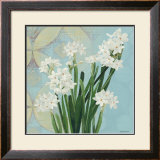Paperwhites on Blue II