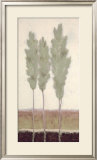 Buy Evergreen I at AllPosters.com
