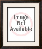 Buy Orange at AllPosters.com