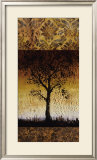 Buy Oak Tree II at AllPosters.com