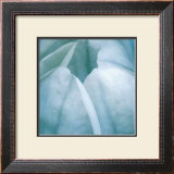 Buy Tulip Trio III at AllPosters.com