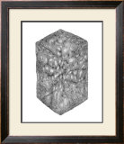 Abstract Black Hexagon Room