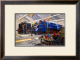 Buy Giants Refreshed at AllPosters.com