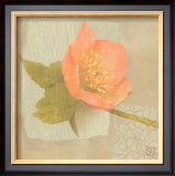 Buy Hellebore I at AllPosters.com