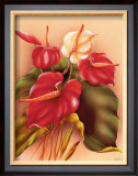 Buy Red and White Anthuriums at AllPosters.com