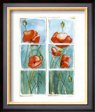 Poppies at the Window