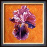 Buy Un Amour d'Iris at AllPosters.com