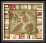 Buy Special Delivery II at AllPosters.com