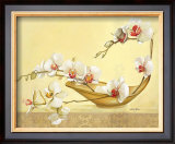 Buy Bol d'Orchidees at AllPosters.com