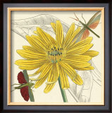 Buy Indian Cup at AllPosters.com