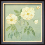 Buy Abundant Rose II at AllPosters.com
