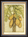 Buy Graphic Palms I at AllPosters.com