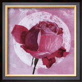 Rose Sur Pois Blanc