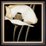 Buy Excellent II at AllPosters.com