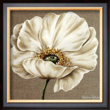 Buy Rose Blanche at AllPosters.com