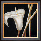 Buy Lily in Sepia I at AllPosters.com