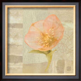 Buy Hellebore III at AllPosters.com