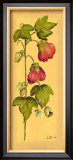 Buy Flores Colgantes I at AllPosters.com