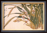 White Orchids