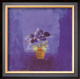 Buy Dark Pansies at AllPosters.com