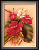 Buy Red and White Anthuriums at AllPosters.com