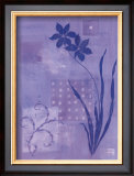 Iris Series III, Lobelia