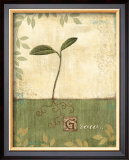Buy Grow and Bloom I at AllPosters.com