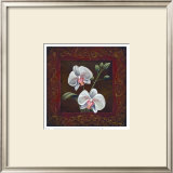 Buy Orchid Study II at AllPosters.com