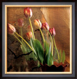 Buy Tulip Reflection at AllPosters.com