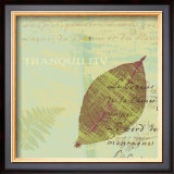 Buy Tranquility at AllPosters.com