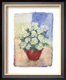 Buy Chrysanthemum at AllPosters.com