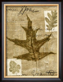 Buy Leaf Collage II at AllPosters.com