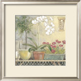 Buy Orchid at AllPosters.com